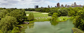 Parchi e Playground a New York - Non solo Central Park