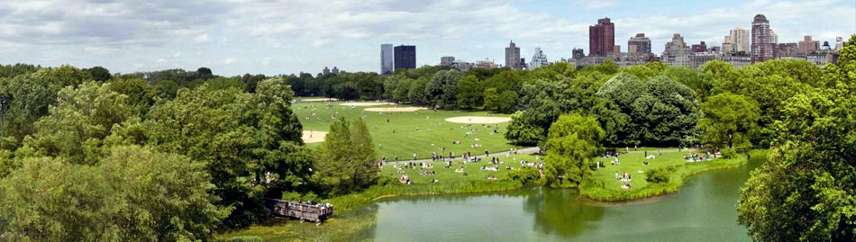 Central Park - New York City