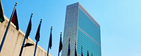 Palazzo di Vetro - Sede ONU - New York City